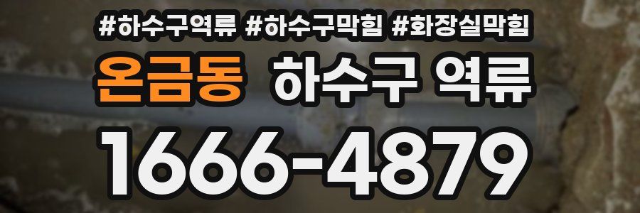 온금동 하수구 역류