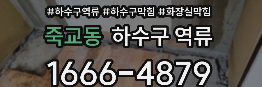 죽교동 하수구 역류