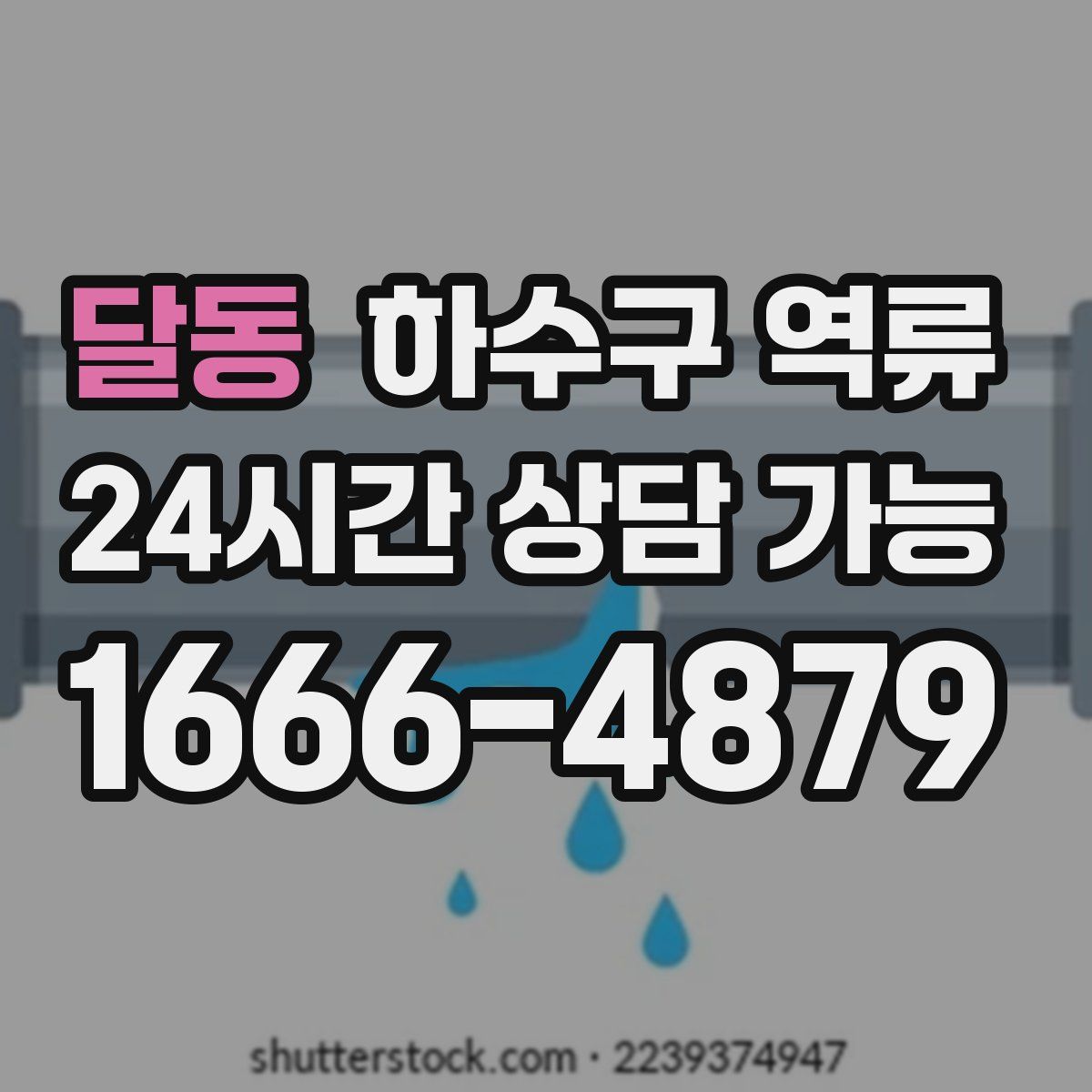 달동 하수구 역류