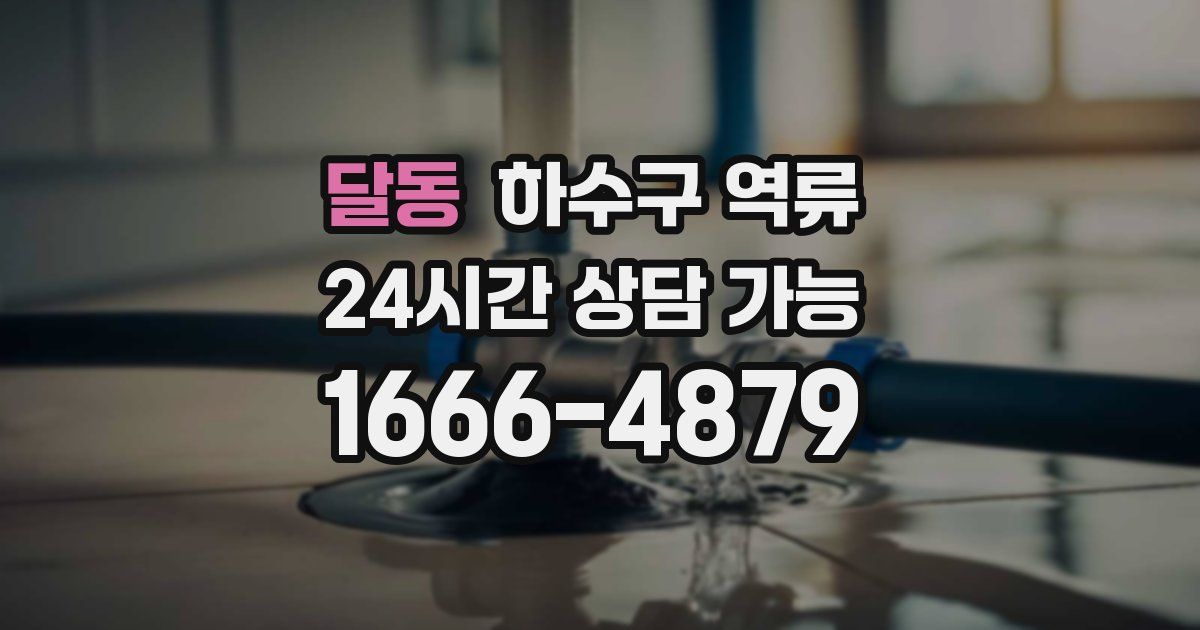 달동 하수구 역류