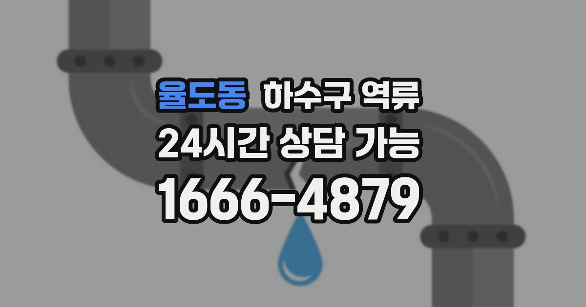 율도동 하수구 역류