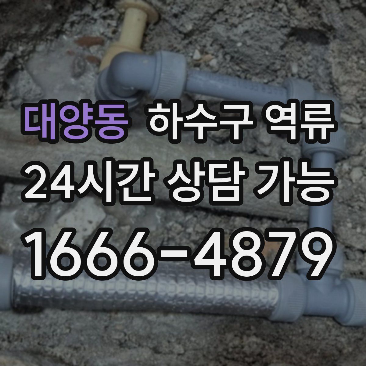 대양동 하수구 역류