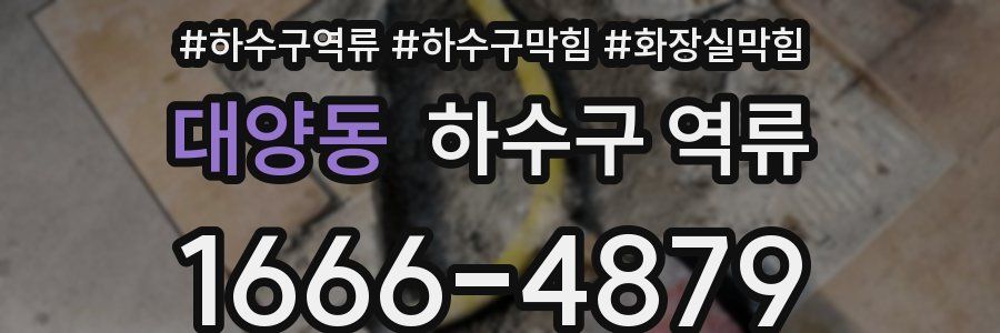대양동 하수구 역류