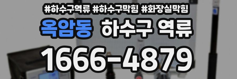 옥암동 하수구 역류