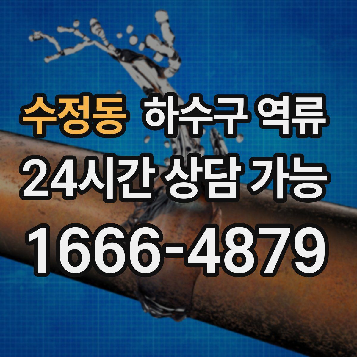 수정동 하수구 역류