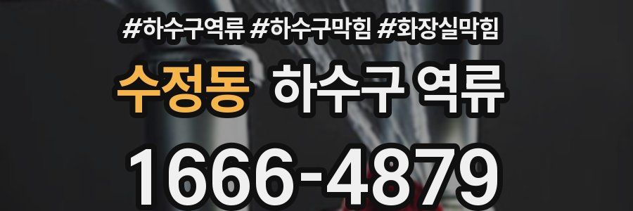 수정동 하수구 역류