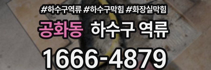 공화동 하수구 역류
