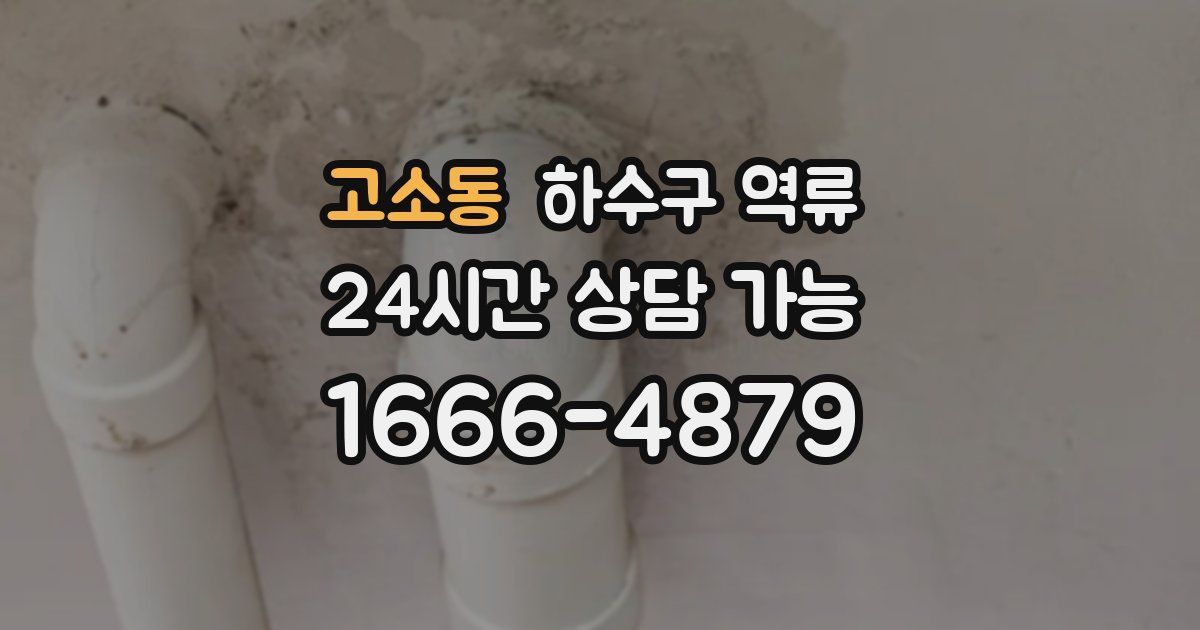 고소동 하수구 역류