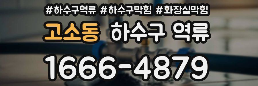 고소동 하수구 역류