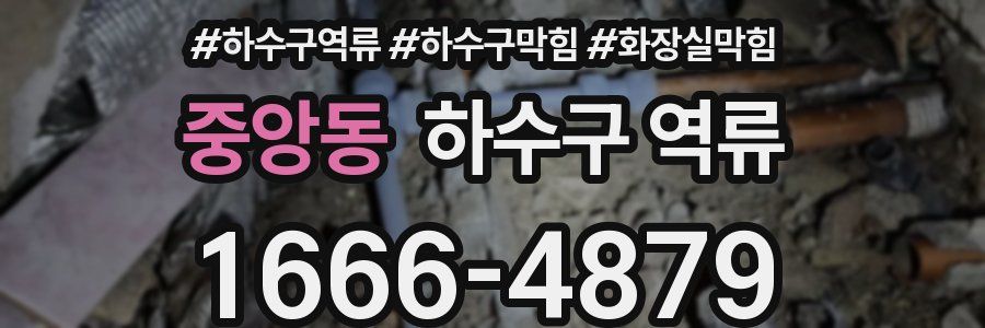 중앙동 하수구 역류
