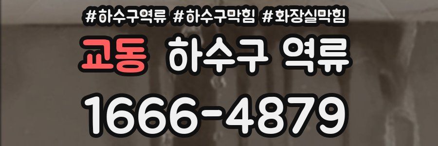 교동 하수구 역류