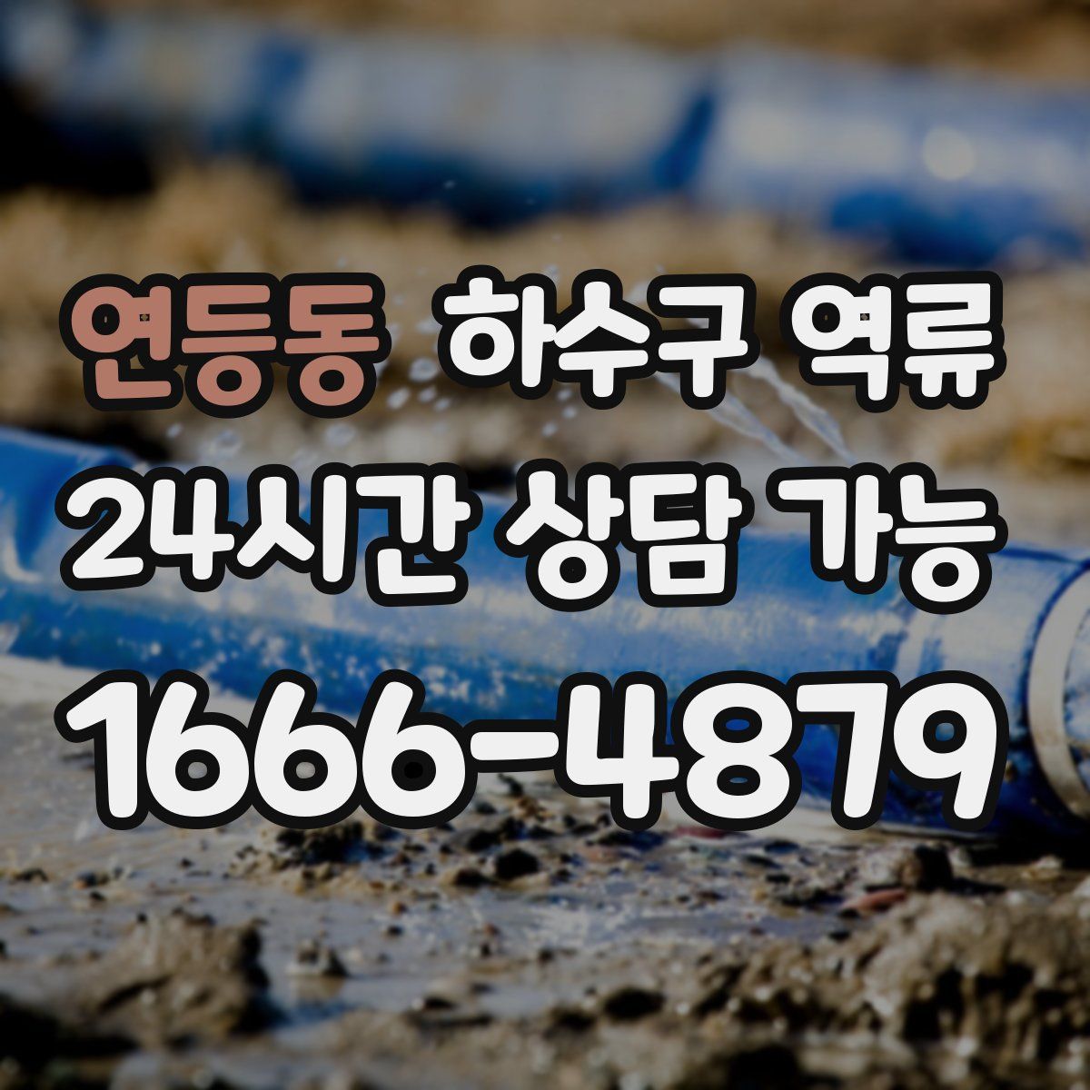 연등동 하수구 역류