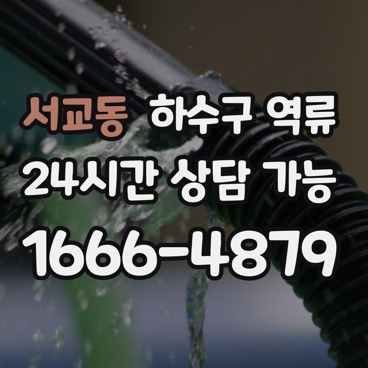 서교동 하수구 역류