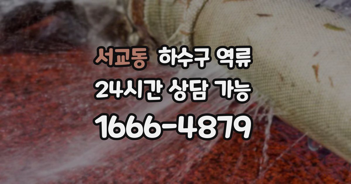 서교동 하수구 역류