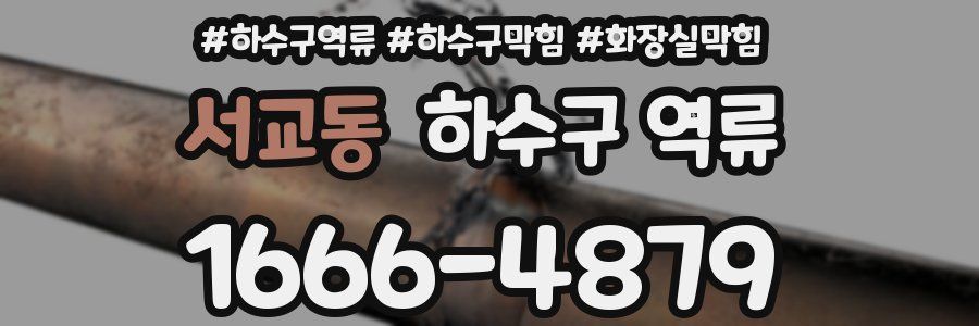 서교동 하수구 역류