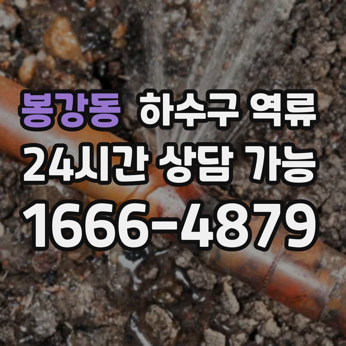 봉강동 하수구 역류