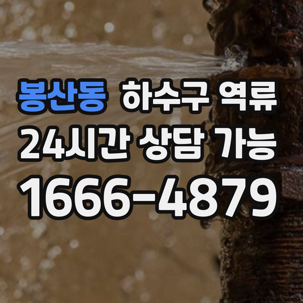 봉산동 하수구 역류