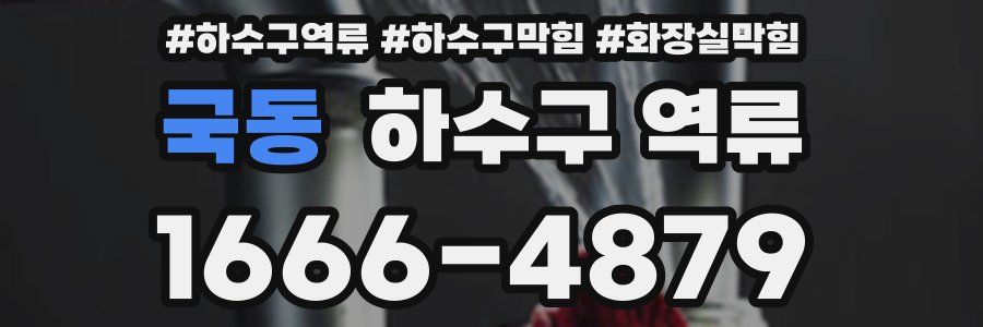 국동 하수구 역류