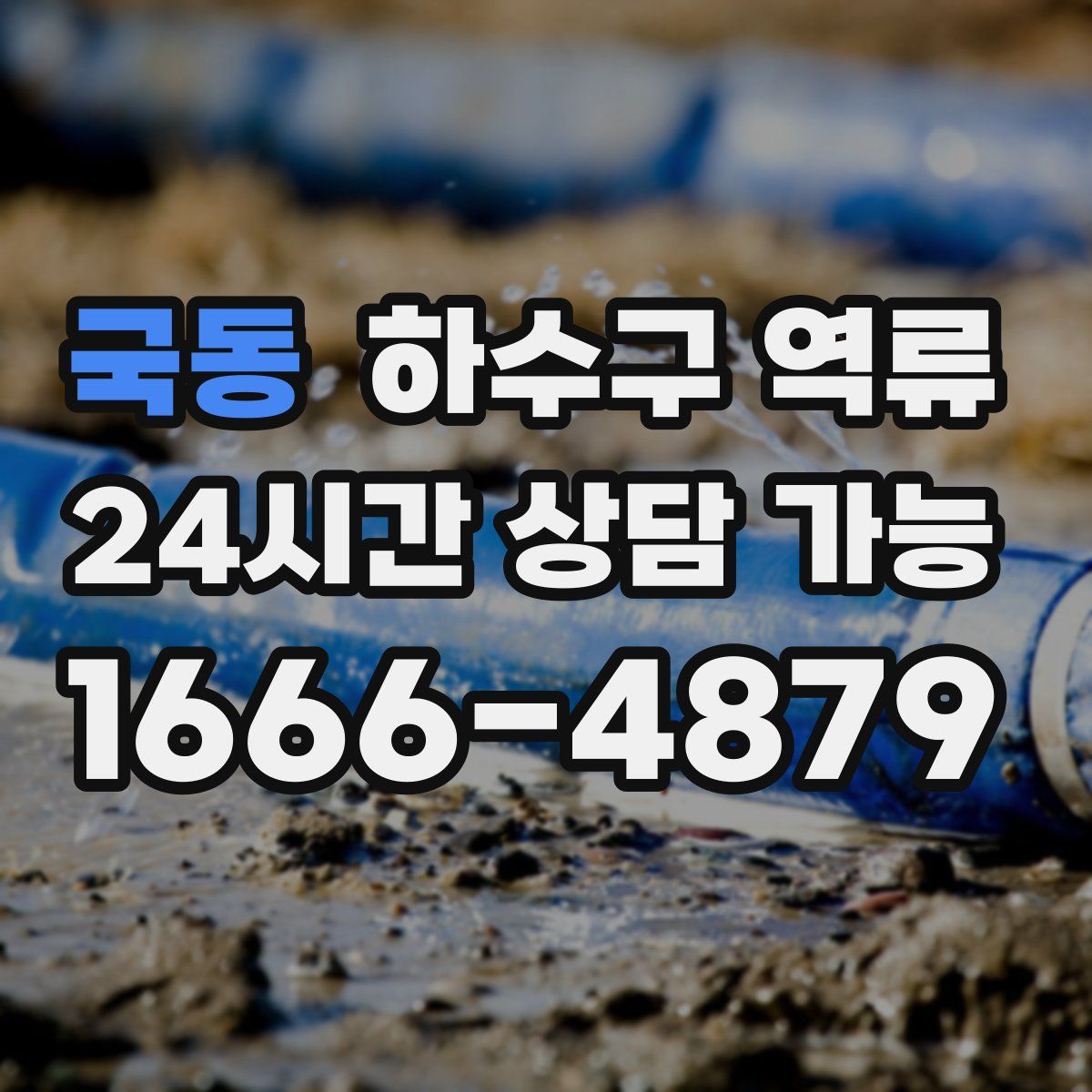 국동 하수구 역류