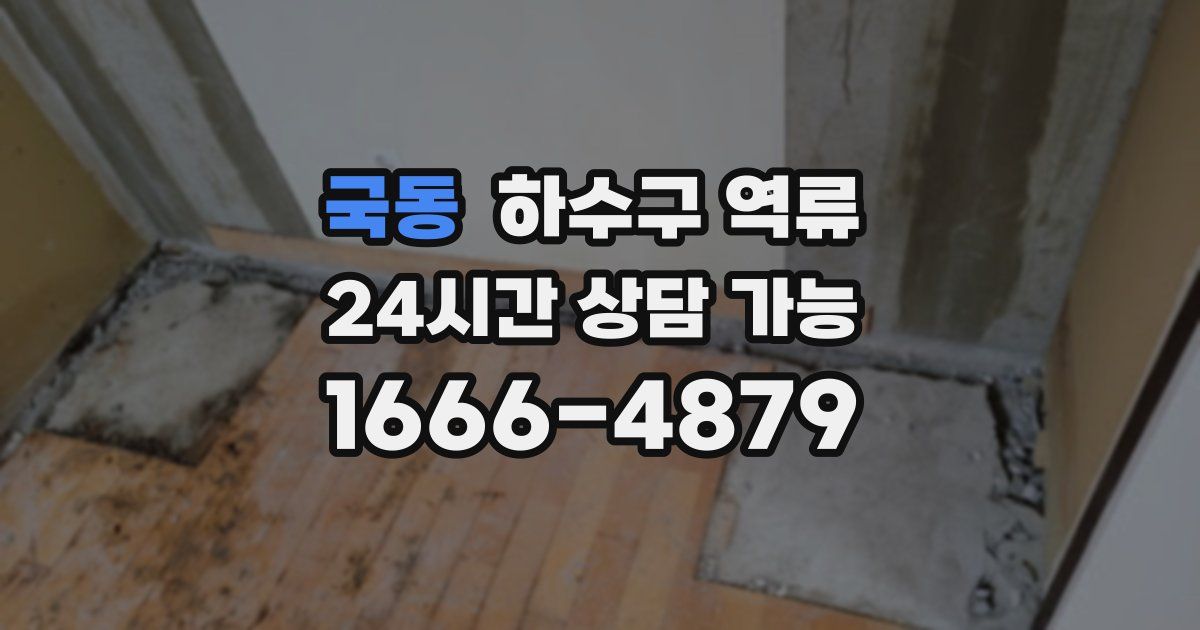 국동 하수구 역류