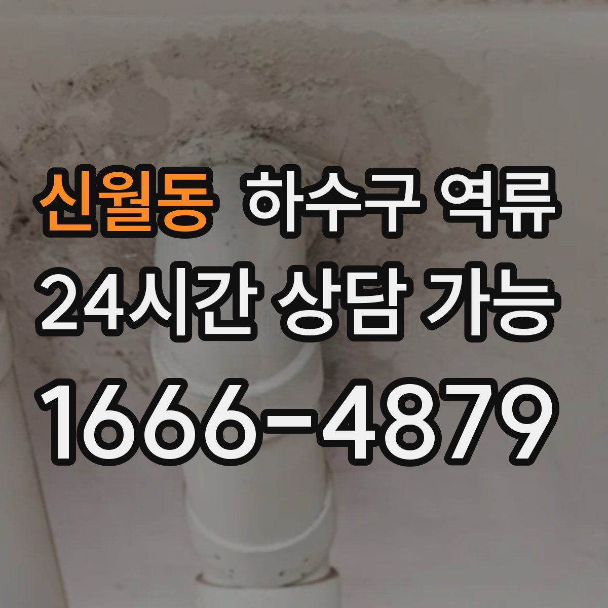 신월동 하수구 역류