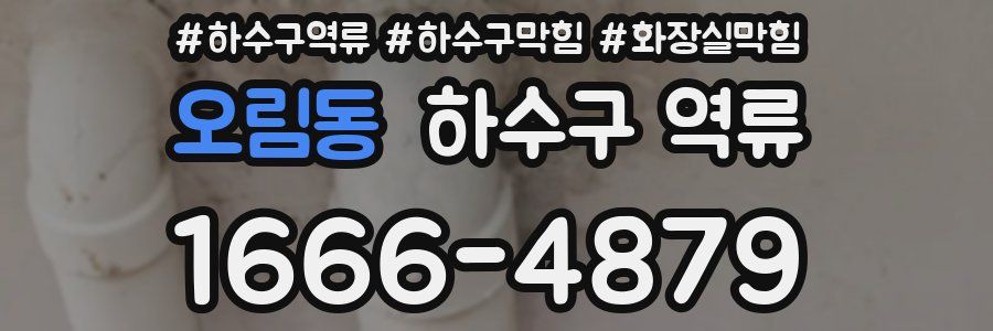 오림동 하수구 역류