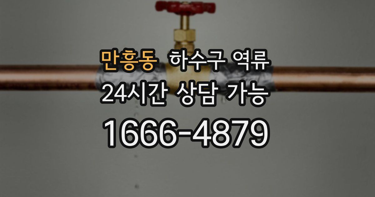 만흥동 하수구 역류