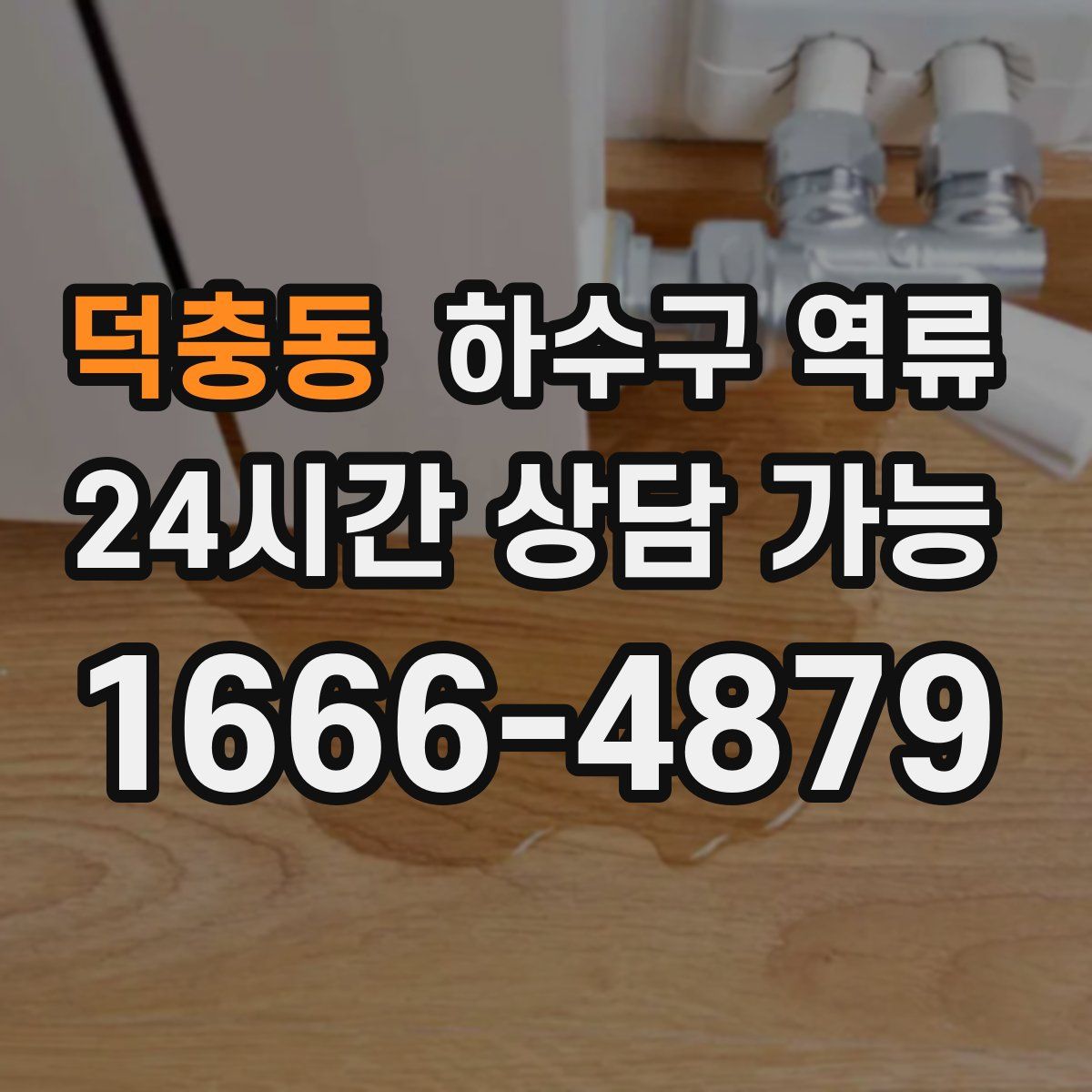 덕충동 하수구 역류