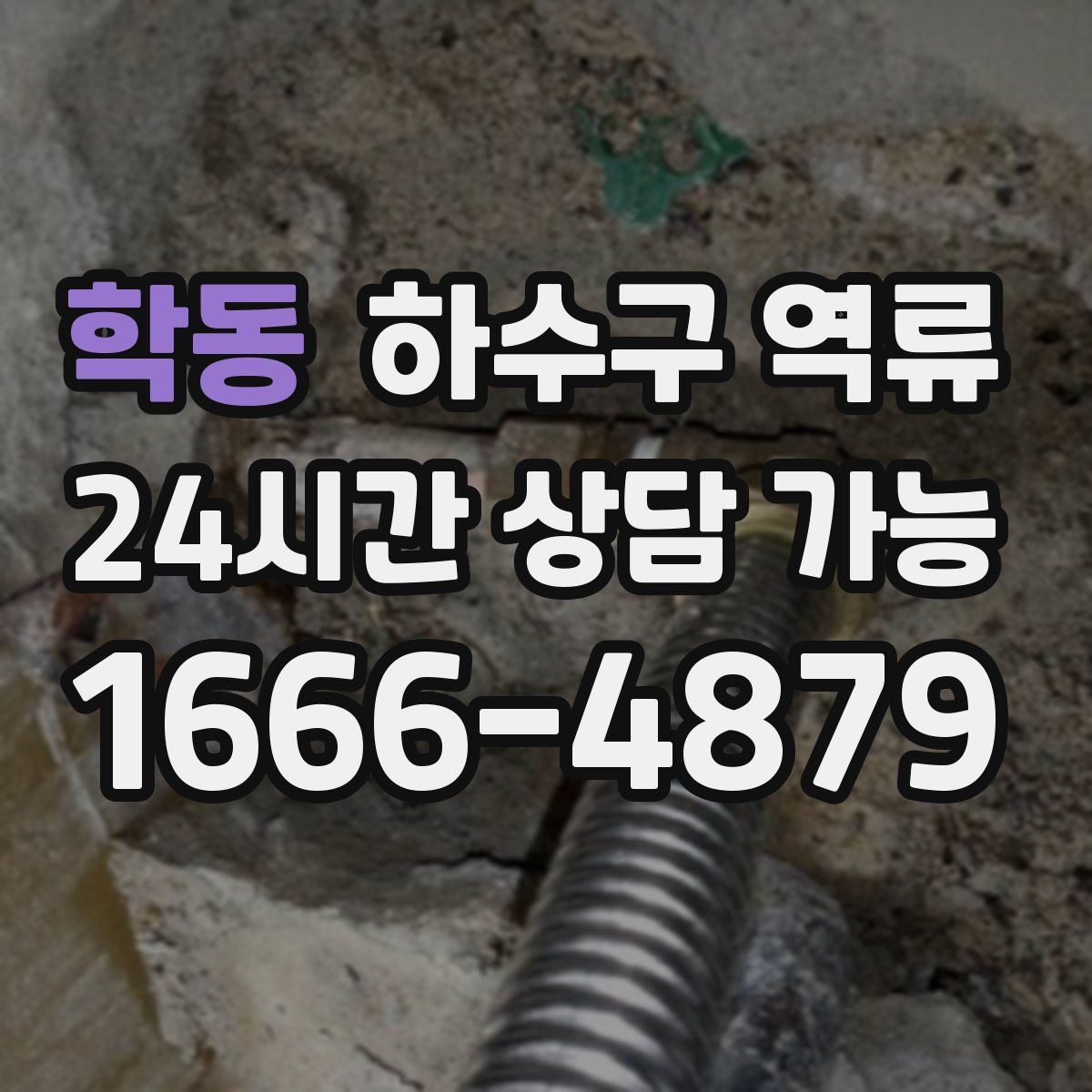 학동 하수구 역류