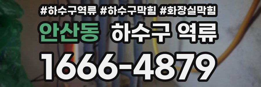안산동 하수구 역류