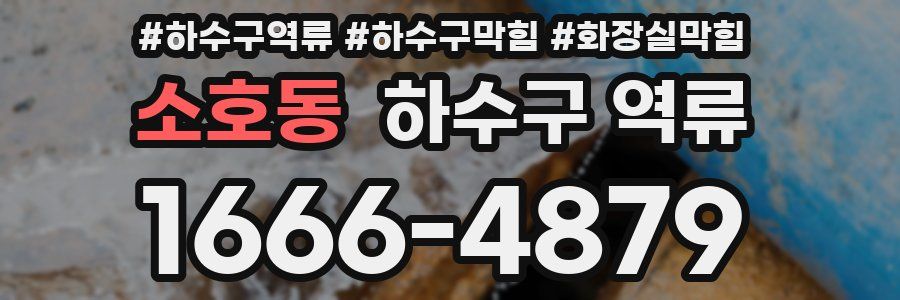 소호동 하수구 역류