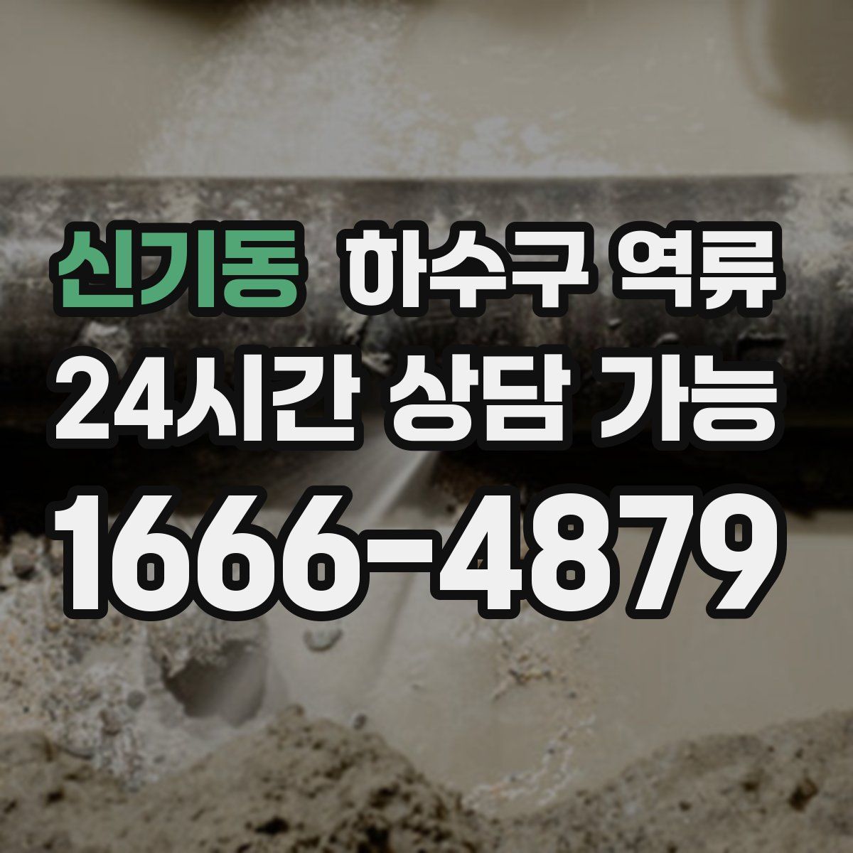 신기동 하수구 역류