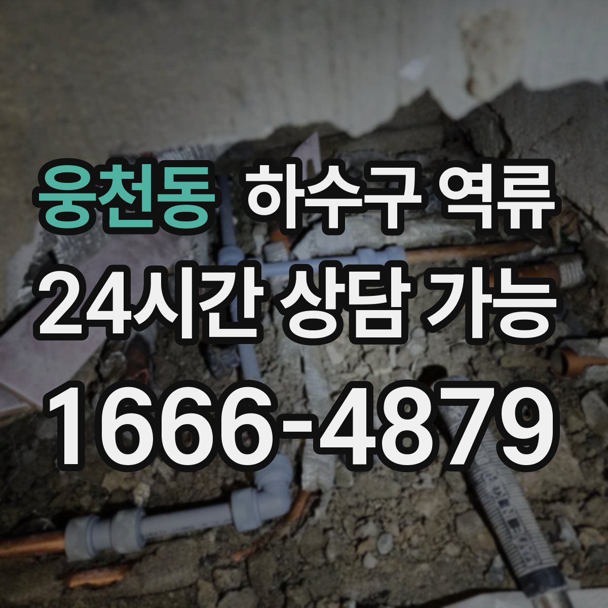 웅천동 하수구 역류