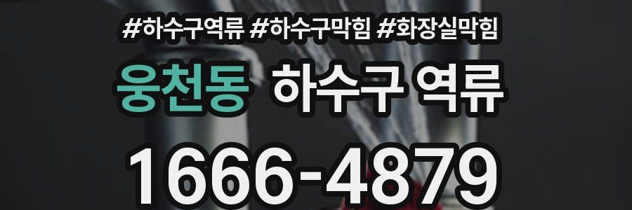 웅천동 하수구 역류