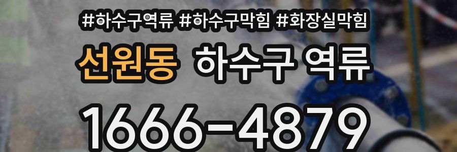 선원동 하수구 역류
