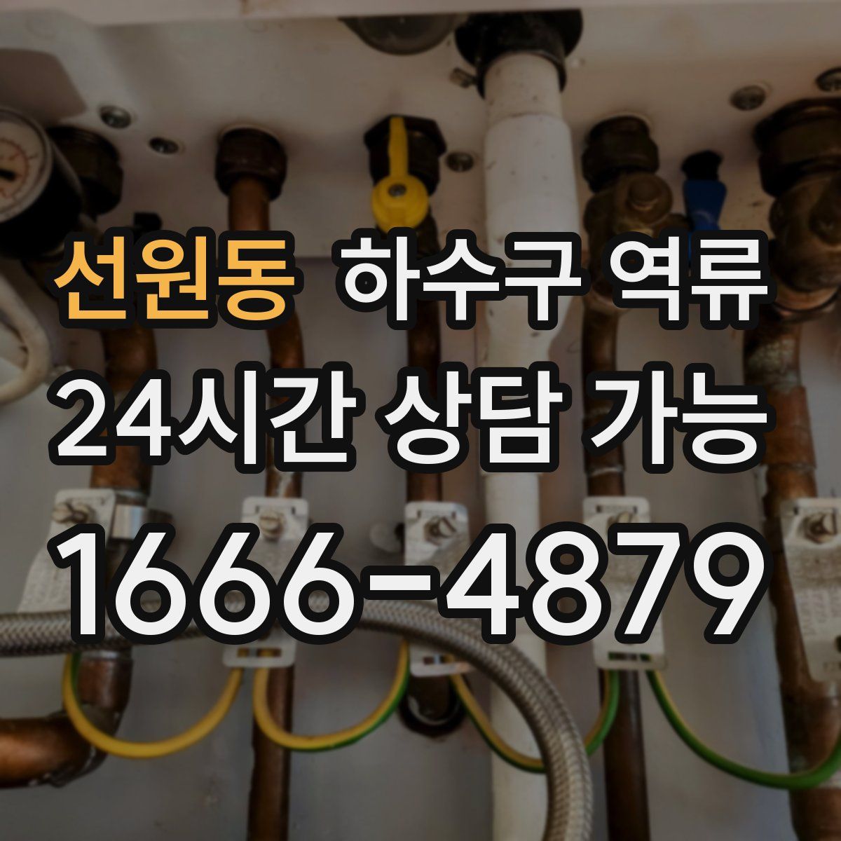 선원동 하수구 역류