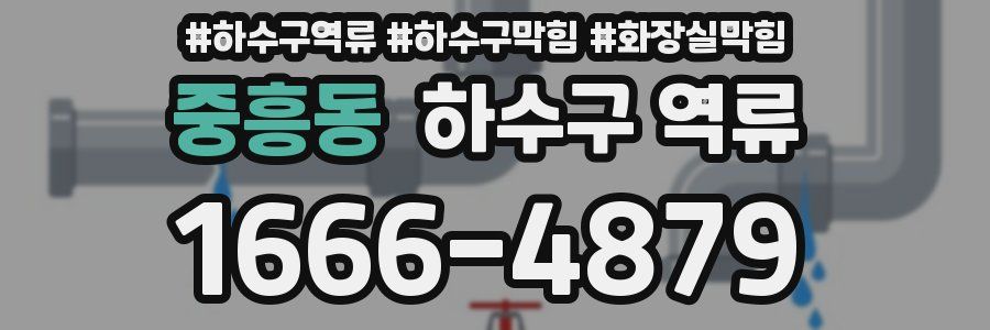 중흥동 하수구 역류