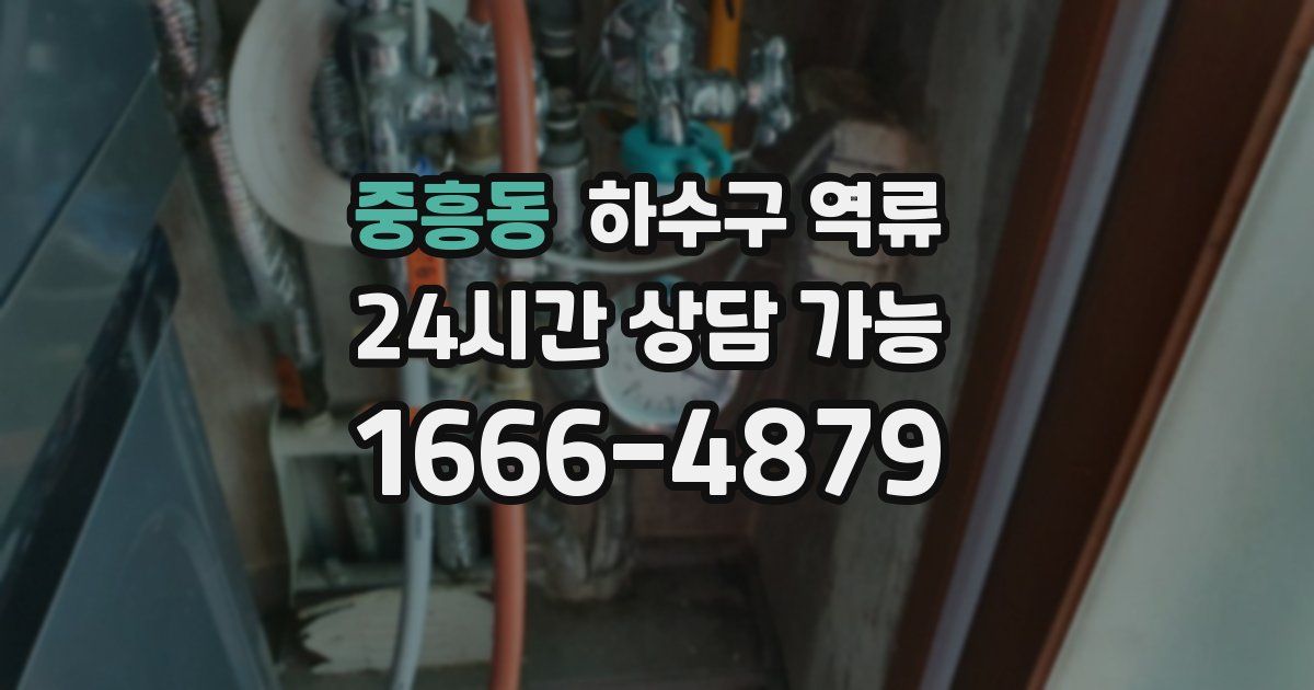 중흥동 하수구 역류