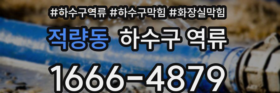 적량동 하수구 역류