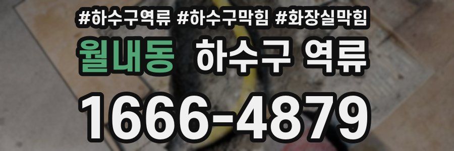 월내동 하수구 역류