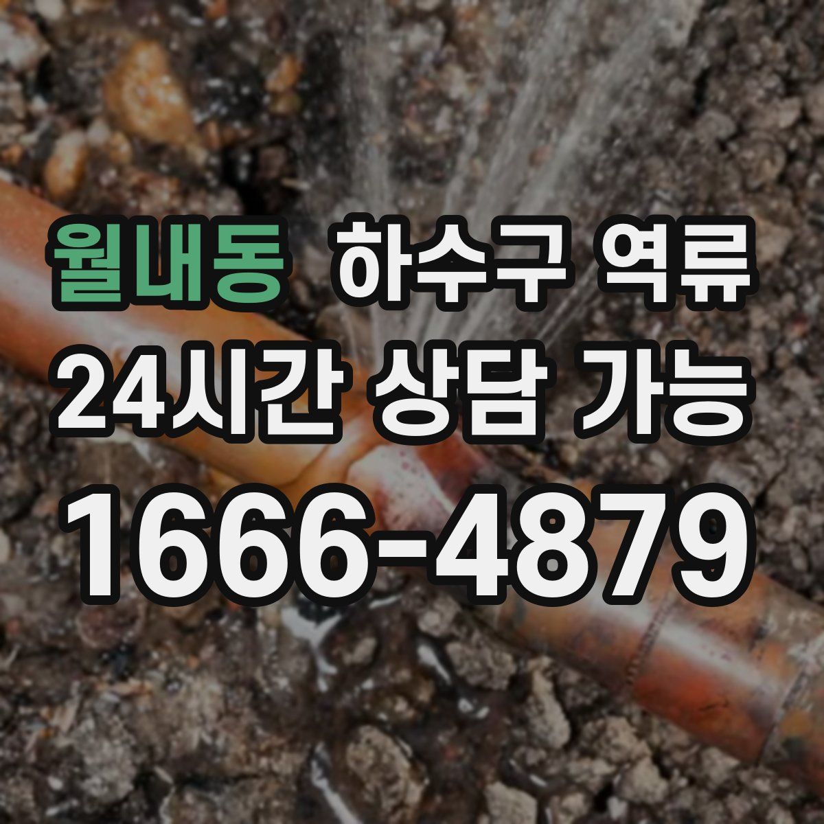 월내동 하수구 역류