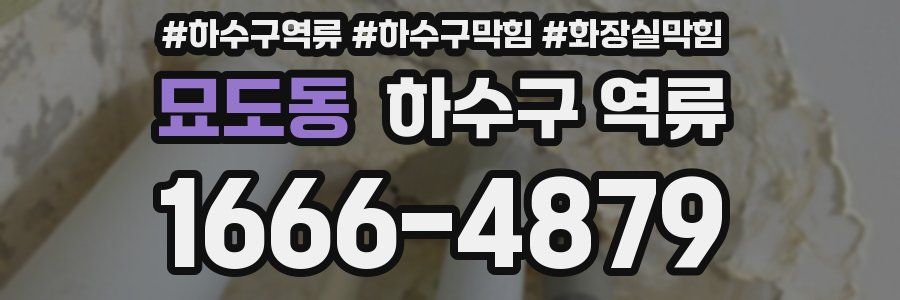 묘도동 하수구 역류