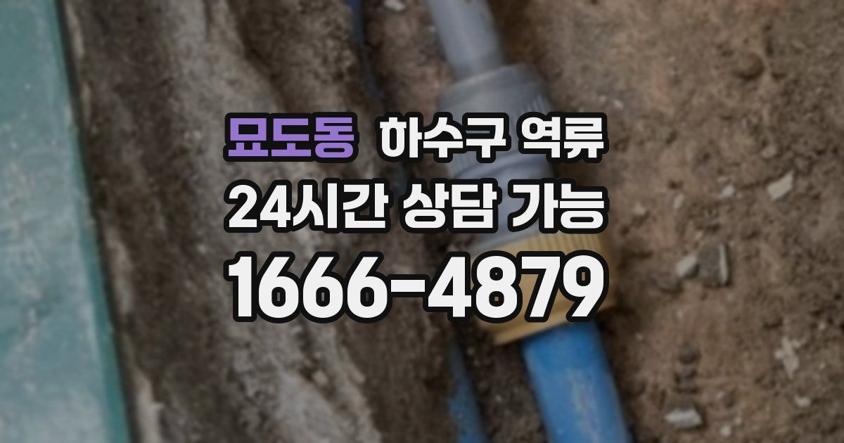 묘도동 하수구 역류