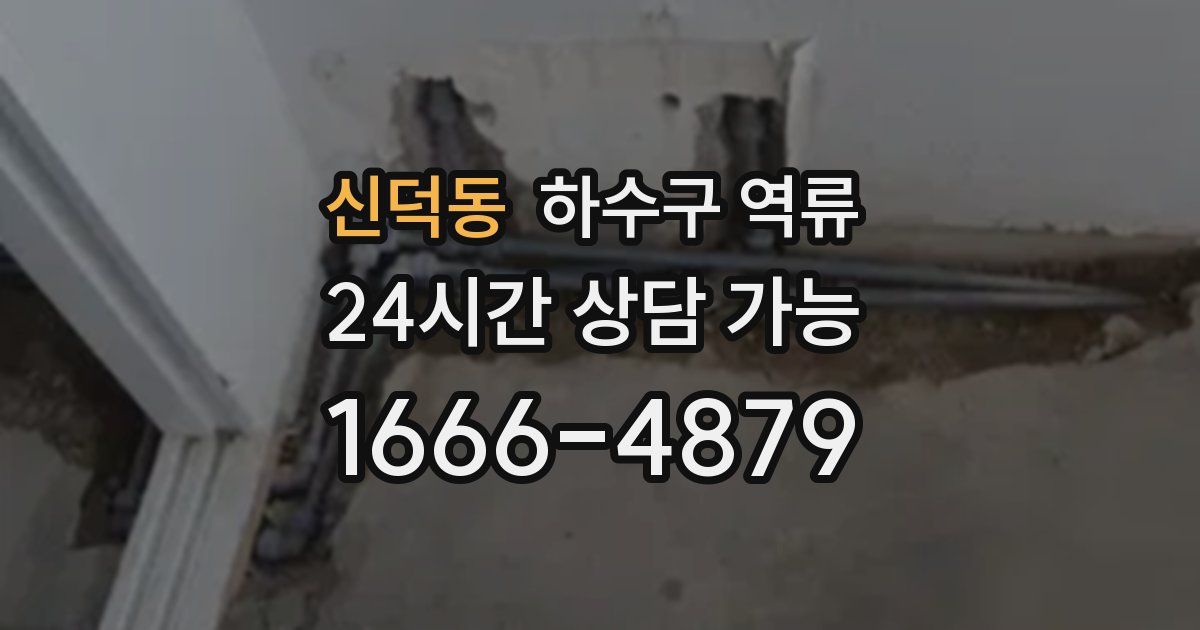 신덕동 하수구 역류