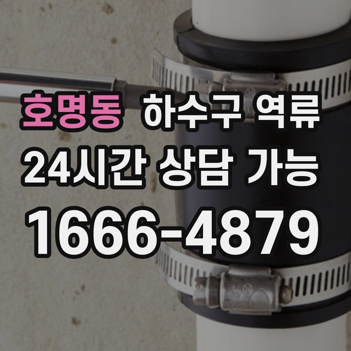 호명동 하수구 역류