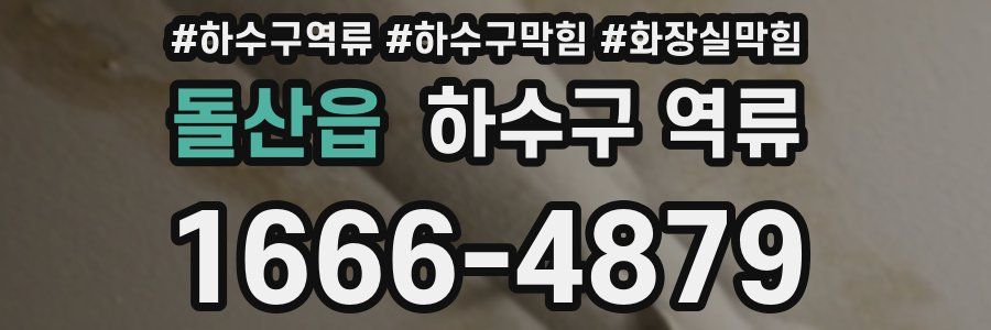 돌산읍 하수구 역류