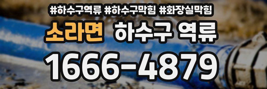 소라면 하수구 역류