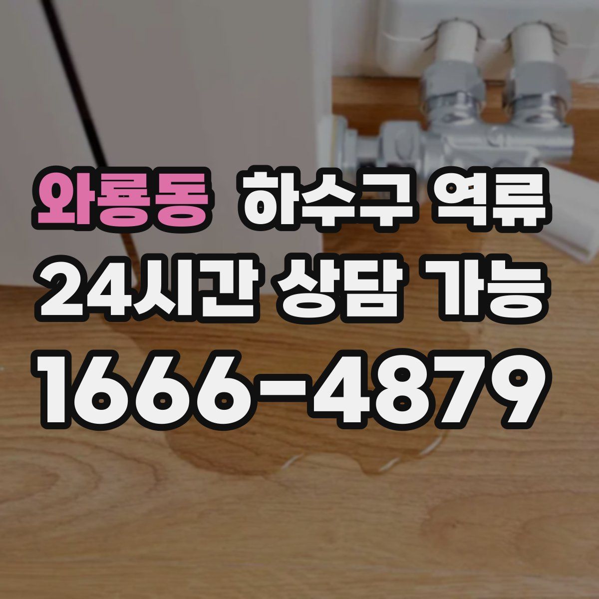 와룡동 하수구 역류