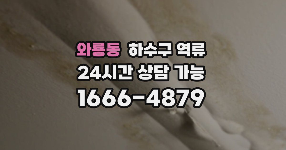 와룡동 하수구 역류