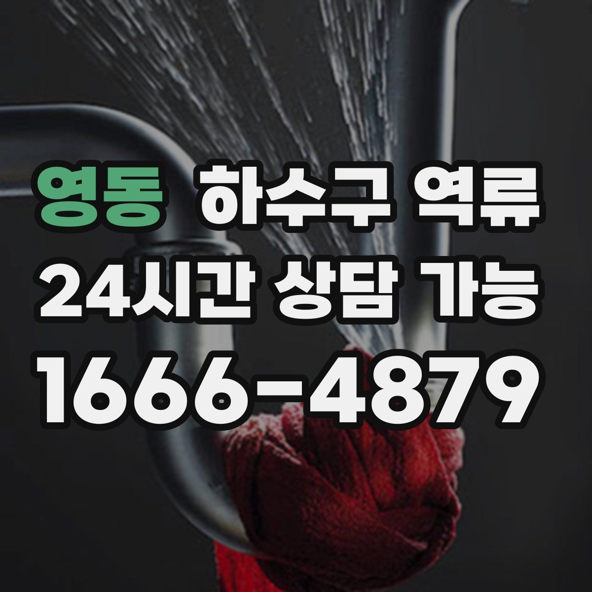 영동 하수구 역류